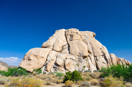 Rocks in Joshua tree national park under blue skyの写真素材