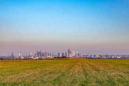 scenic view to skyline of Frankfurt with fields in foregroundの写真素材
