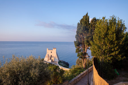 Panoramic view of the Torre Truglia symbol of the village of Sperlongaの写真素材