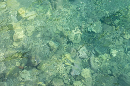 background of crystal clear water with clear view to bottom of the oceanの写真素材