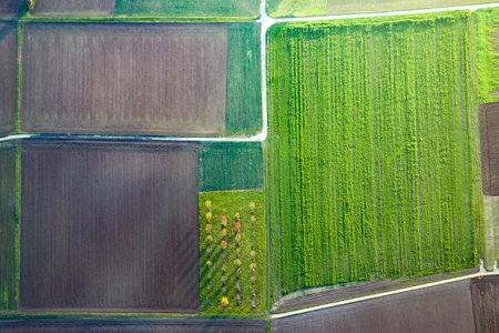 scenic view to rural landscape with fields and trees from hot air balloonの写真素材
