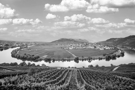 famous Moselle river loop in Trittenheim, Germanyの写真素材