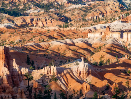 beautiful landscape in Bryce Canyon with magnificent Stone formation like Amphitheater, temples, figures in afternoon lighの写真素材