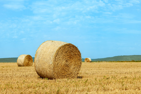bale of straw on field under blue skyの写真素材