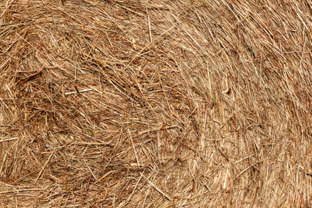 detail of bale of straw in golden colorの写真素材