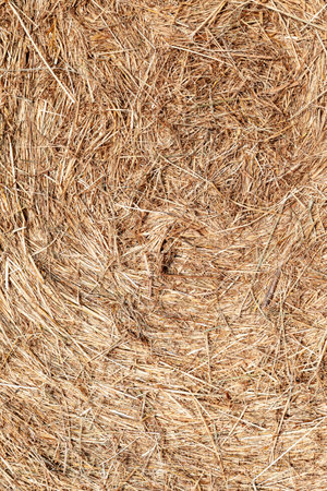 detail of bale of straw in golden colorの写真素材