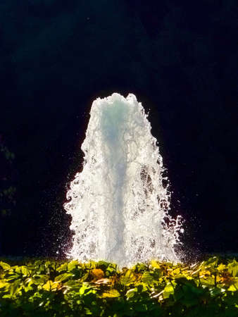 Fountain in park of Peterhofの写真素材