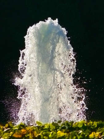 Fountain in park of Peterhofの写真素材