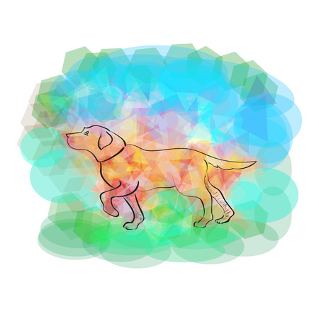 Lovely dog and colored geometric elementsのイラスト素材