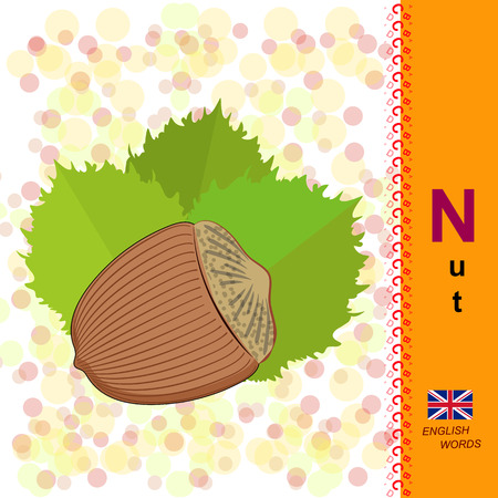English alphabet. Illustration hazelnuts. Food Vector Imageのイラスト素材
