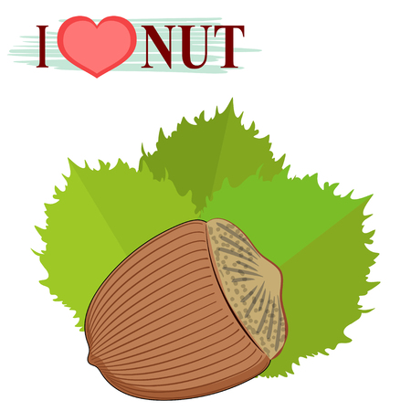 Vector illustration of a hazelnut. The expression of feelingsのイラスト素材