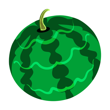 Flat design icon of Watermelon in ui colors.のイラスト素材