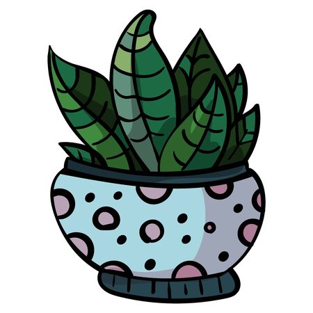 Plant from the family of succulents. Cactus in a pot with circle. - Vector.のイラスト素材