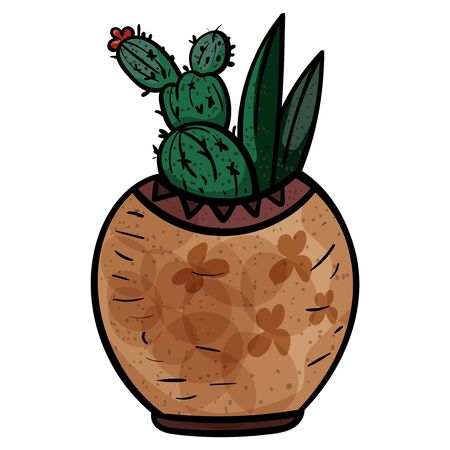Flowering cactus. Flower on our cactus. - Vector.のイラスト素材
