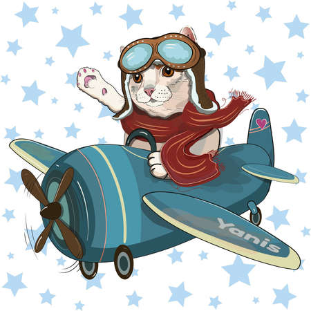 Cat Boy Pilot in Star Backgrounds. Vector Illustration.のイラスト素材