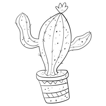 Hand drawn saguaro cactus, sketch style vector illustration isolated. Wild floral exotic tropical plant. Black and white image. Coloring page adults Vector doodle on transparent or white backgrounds.のイラスト素材