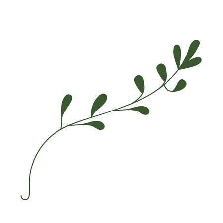 Branch Leaves Twig Plant illustrationのイラスト素材