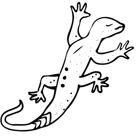 Lizard Coloring Vector Illustrationのイラスト素材