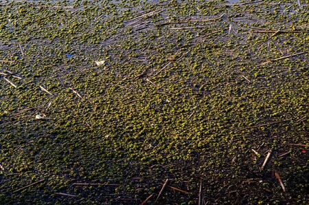 Dirty water contamination, close up photo with detailsの写真素材