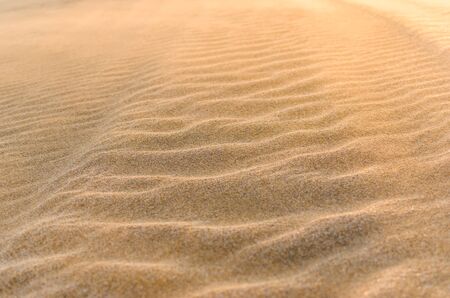 Dune in the desert with yellow sand