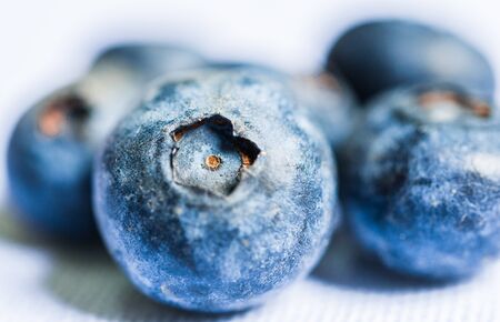 Close up photo of fresh organic blueberries isolated on white.の写真素材