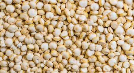 Close up macro photo of quinoa seeds.