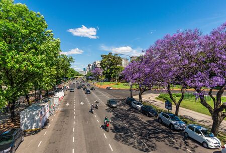 Buenos Aires, Argentina - November 18, 2018: Recoleta and Jacaranda treesのeditorial素材