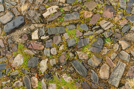 Old town background with cobble stone street and plantsの写真素材