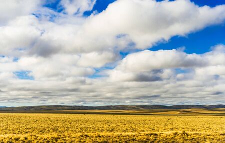 Landscape of colorful yellow steppes in the mountains of Patagonia, Argentina.の写真素材