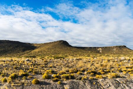 Landscape of colorful yellow steppes in the mountains of Patagonia, Argentinaの写真素材