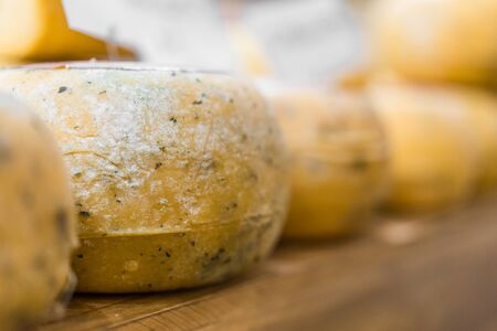 Selection of traditional Italian cheeses on a display, selective focusの写真素材