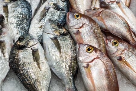 Close up food photo of fresh organic fish at the farmers market stall