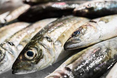 Close up food photo of fresh organic fish at the farmers market stall.