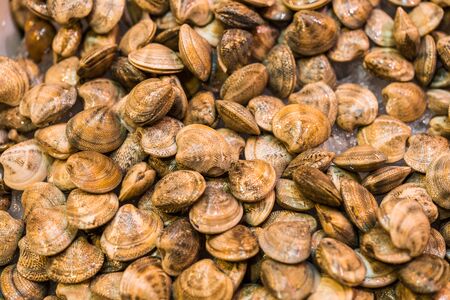 Close up food photo of fresh organic shellfish at the farmers market stall.