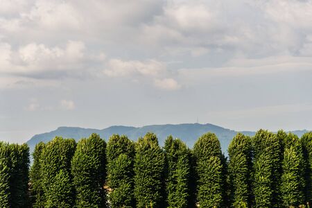 Landscape view of colorful mountains and green trees in Tuscany region, Italyの写真素材