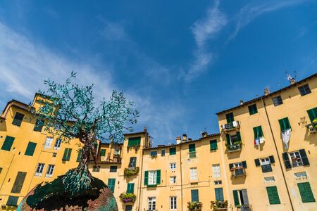 Many traditional colorful ancient Italian architecture houses.の写真素材
