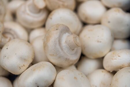 Close up of button champignon mushrooms at the farmers market stall.の写真素材