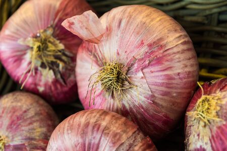 Close up food photo of organic red onions at the farmers market stall.の写真素材