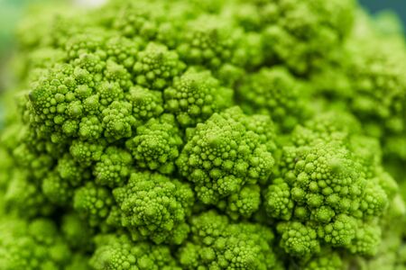 Macro food photo of organic romanesco broccoli at the farmers market stallの写真素材