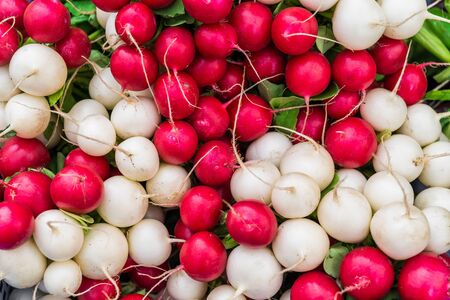 Close up food photo of organic white and red radishes at farmers market stall.の写真素材