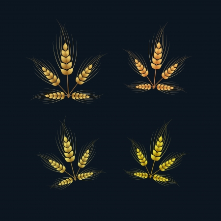 Ears of Wheat Set on Darkのイラスト素材