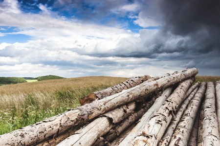 Landscape Photo with Logs and Clouds Before Stormの写真素材