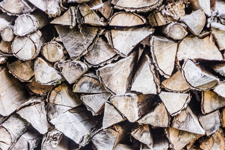 Wood Background Photo