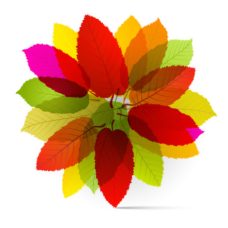 Vector Transparent Colorful Leavesのイラスト素材