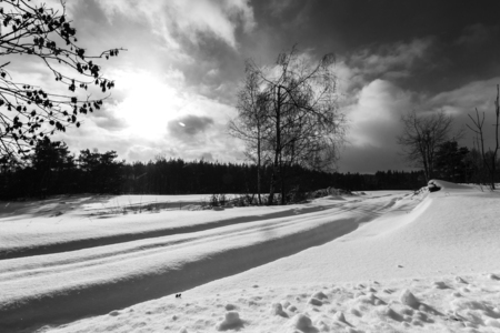 Winter Landscape Photo with Road Covered with Snowの写真素材