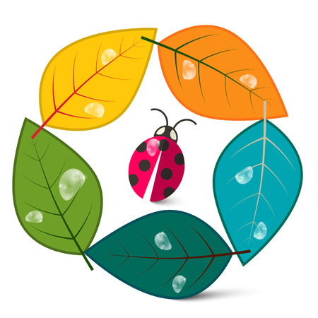 Leaves in Circle with Ladybug Insect. Nature Symbol Cartoon. Eco Icon. Logo Nature Design.のイラスト素材
