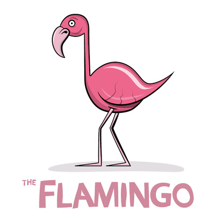 Flamingo Cartoon. Vector Pink Bird Illustration.のイラスト素材