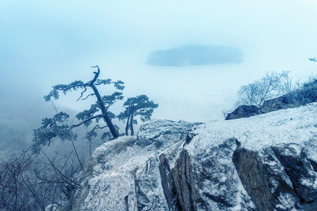 Foggy Winter Landscapeの写真素材