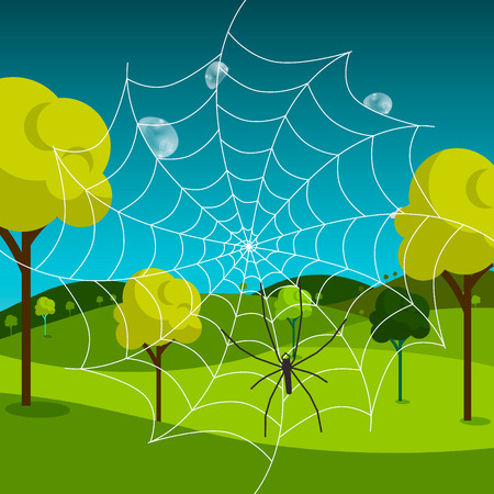Spider Web with Dew and Meadow on Backgroundのイラスト素材