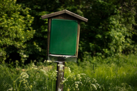 Empty green signboard in meadow with forest on backgroundの写真素材